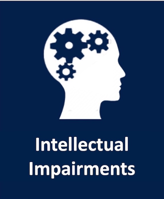 DiSA Information Desk Intellectual Impairments logo