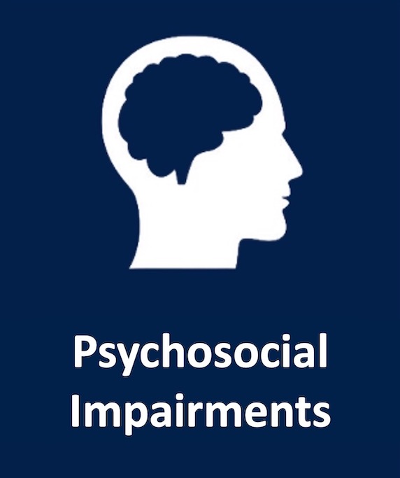 DiSA Information Desk Psychosocial Impairments logo