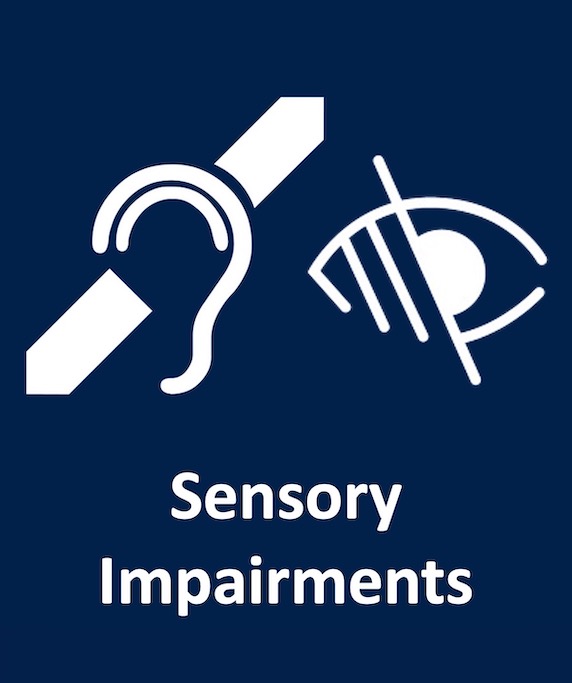 Disability Info South Africa's (DiSA) Information Desk Sensory Impairments logo - please select should you wish to access more information about Sensory Impairments