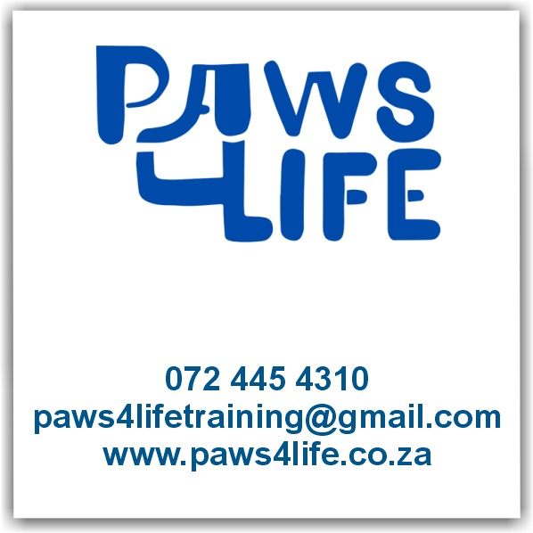 Advertisement for Paws for Life specialised K9 training facility based in Cape Town