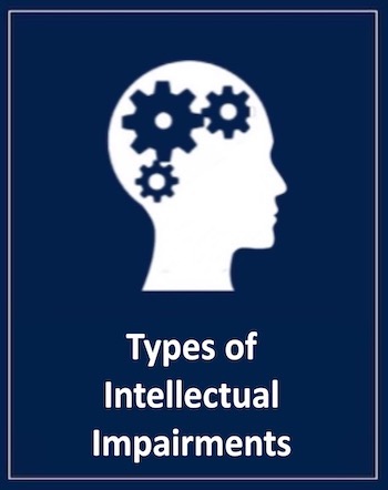 Types of Intellectual Imp