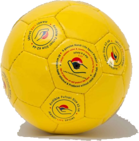 The Official Football for the Blind