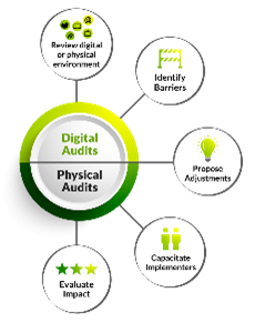 Environmental and Digital Accessibility Audits